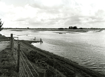 AB_HOOGWATER_003 Wateroverlast in de polder van Abbenbroek na de overvloedige regenval; 16 september 1998