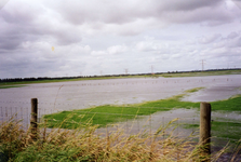 AB_HOOGWATER_011 Wateroverlast in de polder van Abbenbroek na de overvloedige regenval; 16 september 1998
