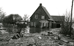 AB_WATERSNOODRAMP_021 Woningen en tuinderij; 1 februari 1953