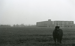 BR_ANNAHOEVESTRAAT_031 Flats in de nieuwbouwwijk Rugge; ca. 1970