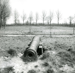BR_BASTION3_014 Kijkje op Bastion III (het Galgenbolwerk), waar een kanon staat opgesteld; Juni 1975