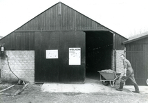 BR_KLOOSTERWEG_018 Open dag bij boeren en tuinders. De heer Koster rijdt een kruiwagen voer een schuur binnen; ca. 1985