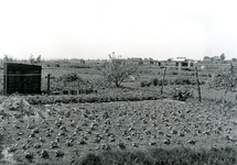 BR_LANGESINGEL_012 De Langesingel met ter hoogte van de Bollaarsdijk de Volkstuinencomplex De Onrust; juni 1961