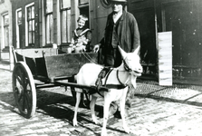 BR_PERS_HEIJZEN_001 Wim van Heijzen met een bokkenkar. In de kar zit Steffen Gelms; ca. 1950