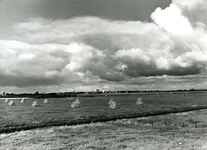 BR_ZUURLANDSEDIJK_004 Kijkje vanaf de Zuurlandsedijk op de polder Zuurland, met op de achtergrond de Bedevaartskerk, de ...