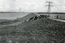 GV_OUDHOENDERHOEKSEDIJK_01 Oud Hoenderhoeksedijk gezien vanaf de Biertsedijk; 1975