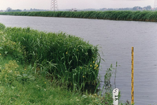 HV_KANAALDIJK_37 Onderhoud van de oevers langs het Kanaal door Voorne, proeven met riet ter hoogte van paal 5, ...
