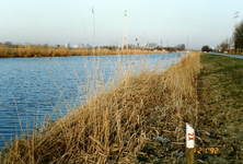 HV_KANAALDIJK_56 Onderhoud van de oevers langs het Kanaal door Voorne, proeven met riet ter hoogte van paal 3, Riet in ...