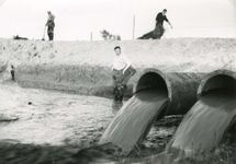 HK_BERENPLAAT_002 Afdamming van het Beregat bij de Berenplaat; ca. 1965