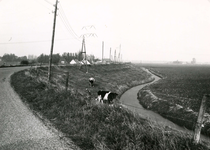 HK_GADDIJK_017 Kijkje op de Gaddijk, met koeien, arbeiderswoningen en hoogspanningsmasten; 1970