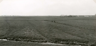 HK_GARSDIJK_004 De polder Braband gezien vanaf de Garsdijk. Op de achtergrond de nieuwbouw in Spijkenisse; 1968