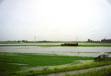 HK_WATEROVERLAST_017 Water in de polder Oud-Stompaard tijdens de wateroverlast in september 1998; September 1998