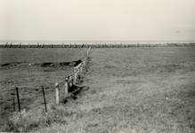 HE_GORZENPAD_008 Werkzaamheden langs het gors; ca. 1955