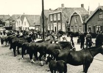 NN_DORPSSTRAAT_020 Paardenmarkt in de Dorpsstraat; ca. 1950