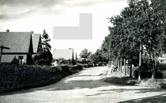 OV_BOSWEG_05 Villa's langs de Bosweg; ca. 1960
