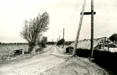 OV_BREEWEG_04 De kas die behoorde bij het Franse koffiehuis; ca. 1966