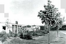 OV_CHLORALAAN_01 Woningen in Duinpark Warande ; ca. 1955