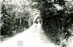 OV_DUINLAAN_01 Kijkje in de Duinlaan; ca. 1935