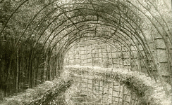 OV_EENDENKOOI_01 De eendenkooi in 't Poldertje; ca. 1900