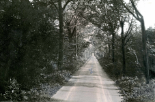 OV_GROENEWEG_01 Kijkje in de Groeneweg; ca. 1930