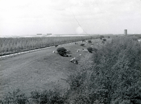 OV_HEINDIJK_52 Oostvoorne; Dijk langs het Brielse Meer met uitzicht op het Stenen Baken, Mei 1962