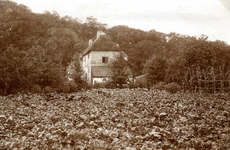 OV_NOORDWEG_08 Gezicht vanaf de Noordweg op de boerenstee van Hannes Blom, later een pension en daarna jeugdherberg ...