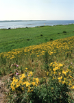 OV_OOSTVOORNSEMEER_09 Uitzicht op het Oostvoornse Meer; 4 juni 1993