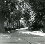 OV_PARKLAAN_01 Kijkje in de Parklaan; 4 augustus 1960