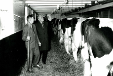 OV_PERS_224 Bezoek commissaris van de Koningin, mr. Klaasesz. Bezoek aan de veehouderij van A.P. van der Poel; 15 ...