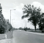 OV_SCHRIJVERSDIJK_16 Oostvoorne; De Schrijversdijk nabij Brielle, op de achtergrond de watertoren, 11 juli 1963