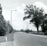 OV_SCHRIJVERSDIJK_16 De Schrijversdijk nabij Brielle, op de achtergrond de watertoren; 11 juli 1963