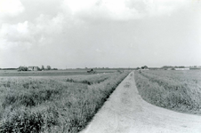 OV_ZUURLANDSEWEG_01 De polder rond de Zuurlandseweg; ca. 1980