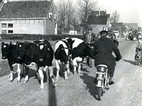OH_DORPSWEG_01 Drukte op de Dorpsweg: koeien, brommers, fiets, auto en tractor; 24 mei 1963