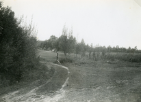 RO_DUINRAND_07 Duinrand met links de Ganzenpoel of Liezeput. Op de achtergrond de woning van de Fam. Looij; 1950