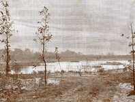 RO_DUINSTRAAT_02 Tenellaplas, instructief plantsoen te Rockanje. Foto genomen bij de openstelling van de plas voor het ...