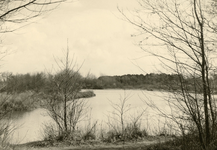 RO_DUINSTRAAT_04 Gezicht op de Tenellaplas; ca. 1965