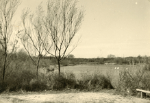 RO_DUINSTRAAT_06 Gezicht op de Tenellaplas; ca. 1965