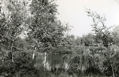 RO_DUINSTRAAT_07 Gezicht op de Tenellaplas; 1975