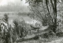 RO_DUINSTRAAT_08 Gezicht op de Tenellaplas; 1980