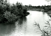 RO_DUINSTRAAT_16 Gezicht op de Tenellaplas; ca. 1960