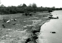 RO_DUINSTRAAT_17 Gezicht op de Tenellaplas; 1968