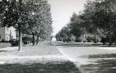 RO_HOOGVLIETLAAN_14 De Hoogvlietlaan met op de achtergrond de woning van Dirk Wageveld aan de Middeldijk; 1964