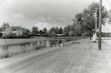 RO_MIDDELDIJK_18 De Singel langs de Middeldijk met links de bungalows aan de Sagittastraat. De man die de eenden voert ...