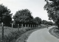 RO_NOORDDIJK_03 Het rijwielpad langs de Noorddijk; Juni 1982