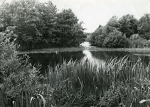 RO_QUACKJESWATER_01 Rockanje; Het Quackjeswater, 1965