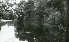 RO_QUACKJESWATER_04 Rockanje; Het Quackjeswater, 1965