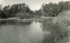 RO_QUACKJESWATER_10 Rockanje; Het Quackjeswater, ca. 1965
