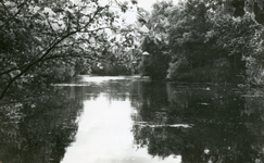 RO_QUACKJESWATER_11 Rockanje; Het Quackjeswater, ca. 1965