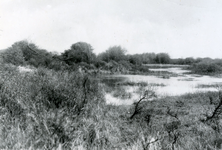 RO_QUACKJESWATER_13 Rockanje; Het Quackjeswater, 1929