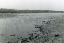 RO_QUACKJESWATER_14 Rockanje; Het Quackjeswater, 1929